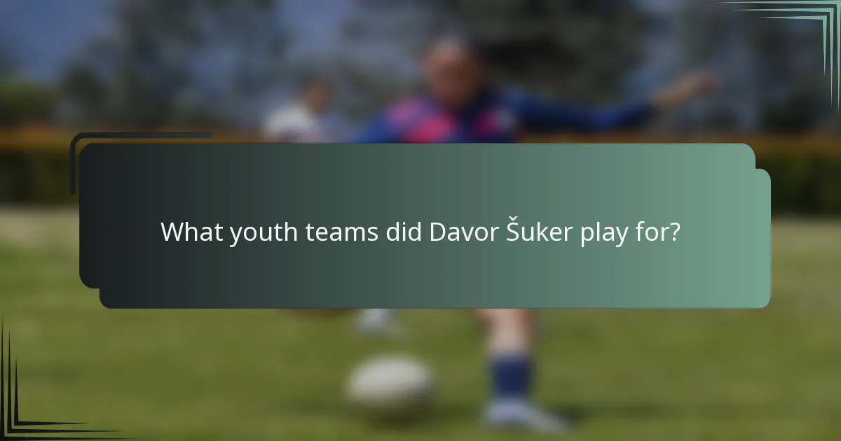 What youth teams did Davor Šuker play for?