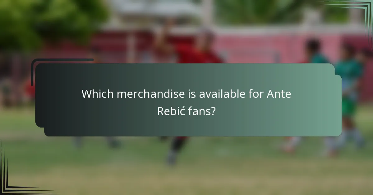 Which merchandise is available for Ante Rebić fans?